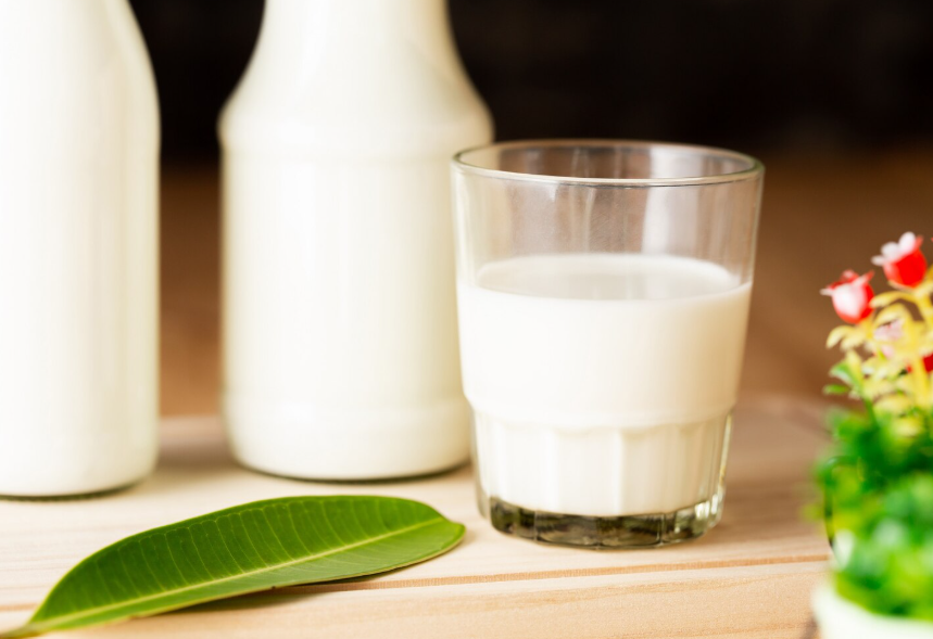 Milk: A blessed Food, A Modern Debate ✨